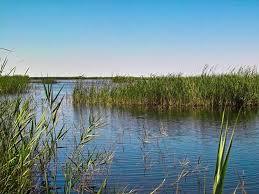 Parque natural del Prado de Cabanes-Torreblanca